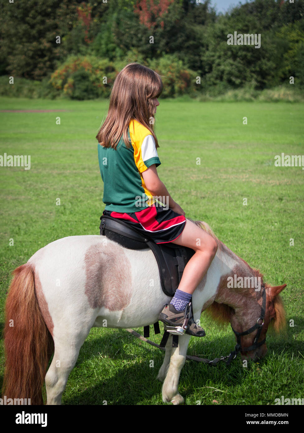 Girl Child Sat Riding on Miniature Horse Grazing in Field Facing Away (Vertical) Stock Photo