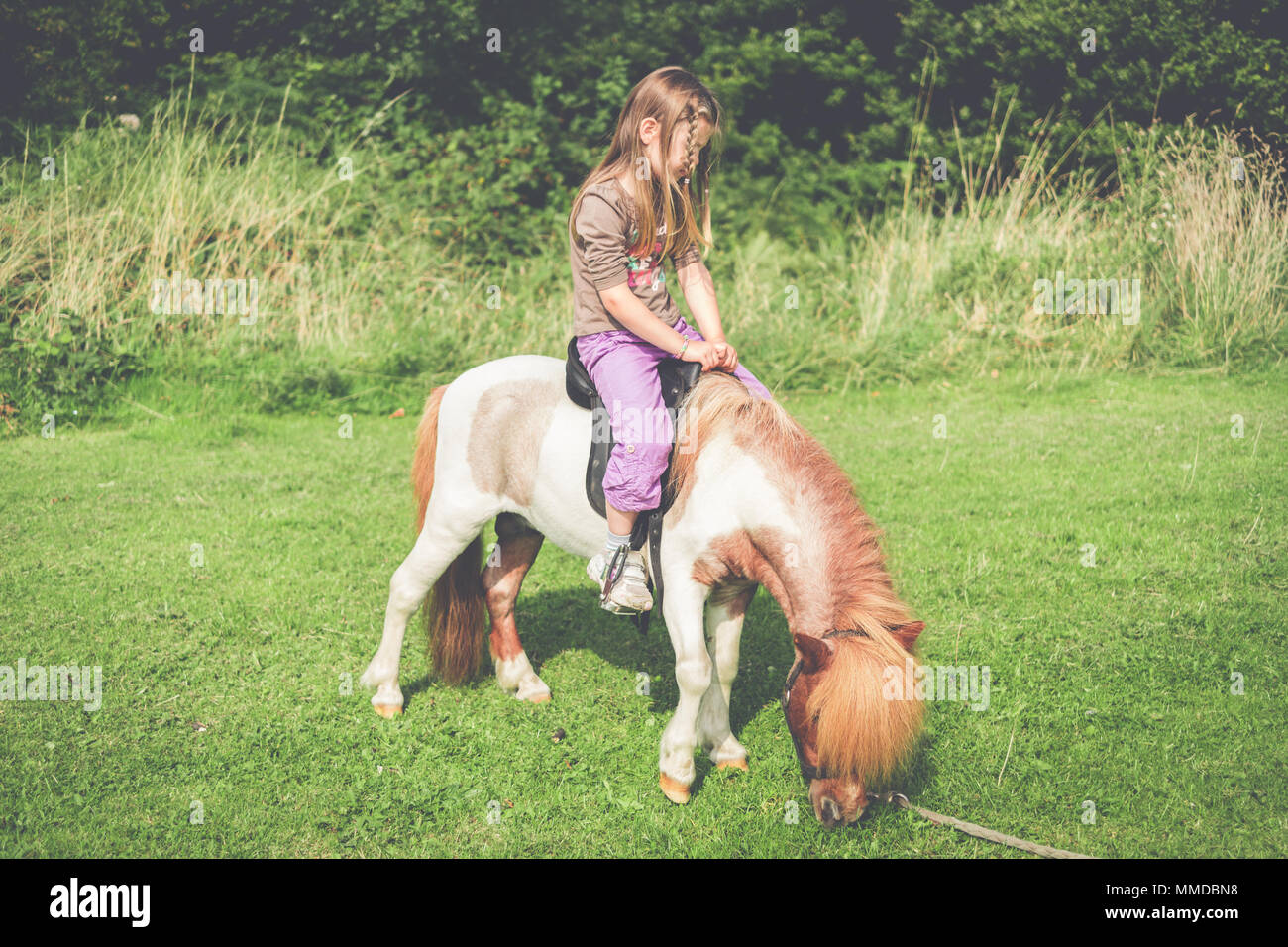 Boho Girl Child Sat Riding on Miniature Horse Grazing in Field Stock Photo