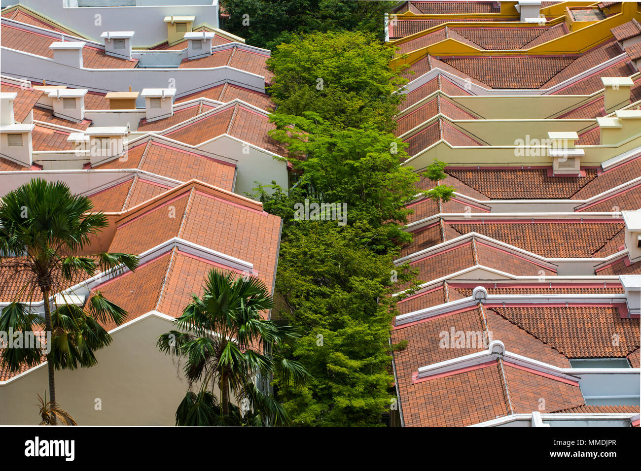Close up aerial view of the trees between a row or urban shophouses in Singapore Stock Photo