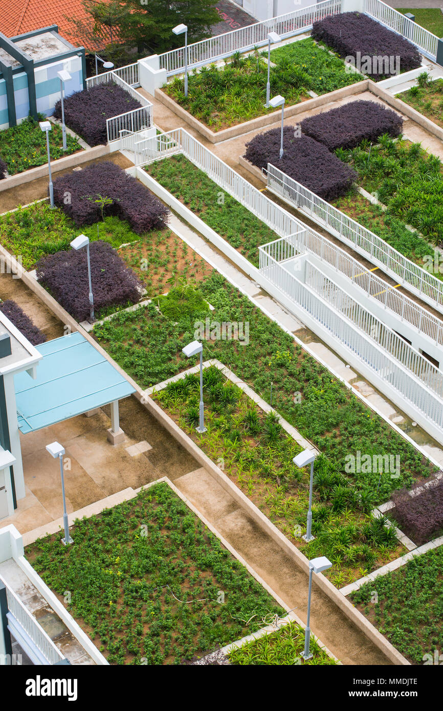 Green Roof Community Garden High Resolution Stock Photography And Images Alamy