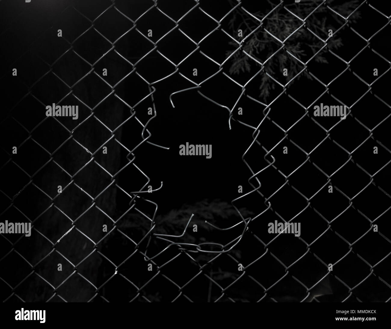 Ripped wire fence with black background. Stock Photo