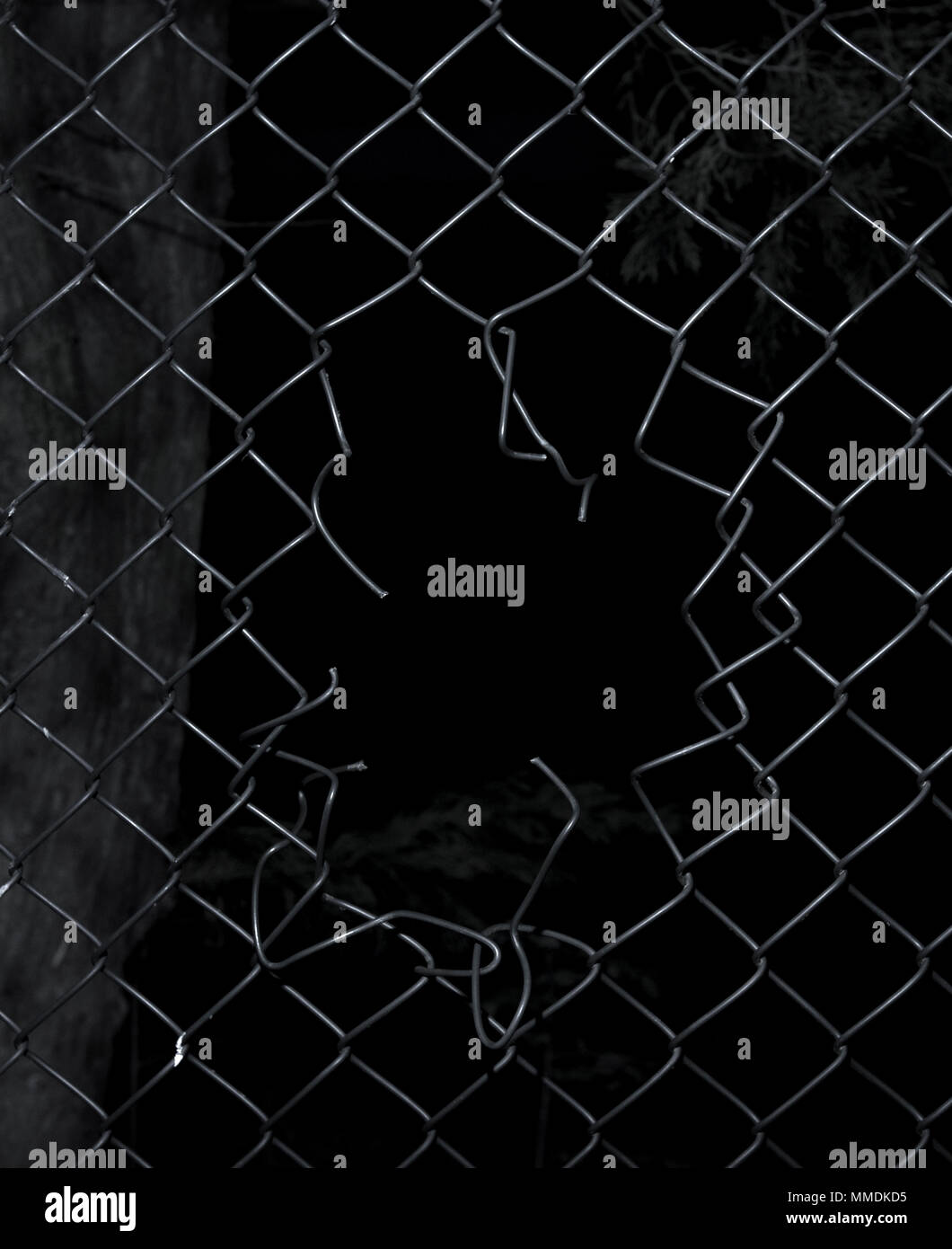 Ripped wire fence with black background. Stock Photo