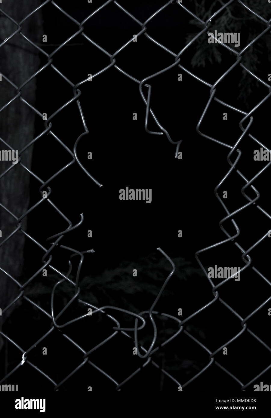 Ripped wire fence with black background. Stock Photo