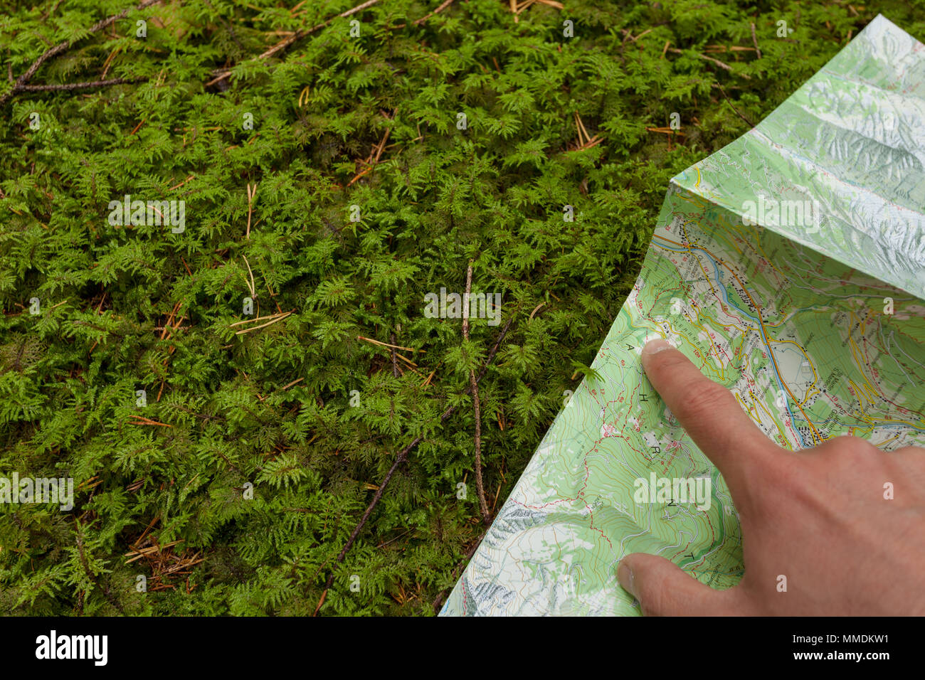 finding the right position in the forest with a map Stock Photo - Alamy