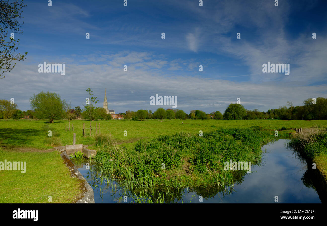 Spring afternoon light on Salisbury Cathedral from across Harnham Water Meadows, Wiltshire, UK Stock Photo