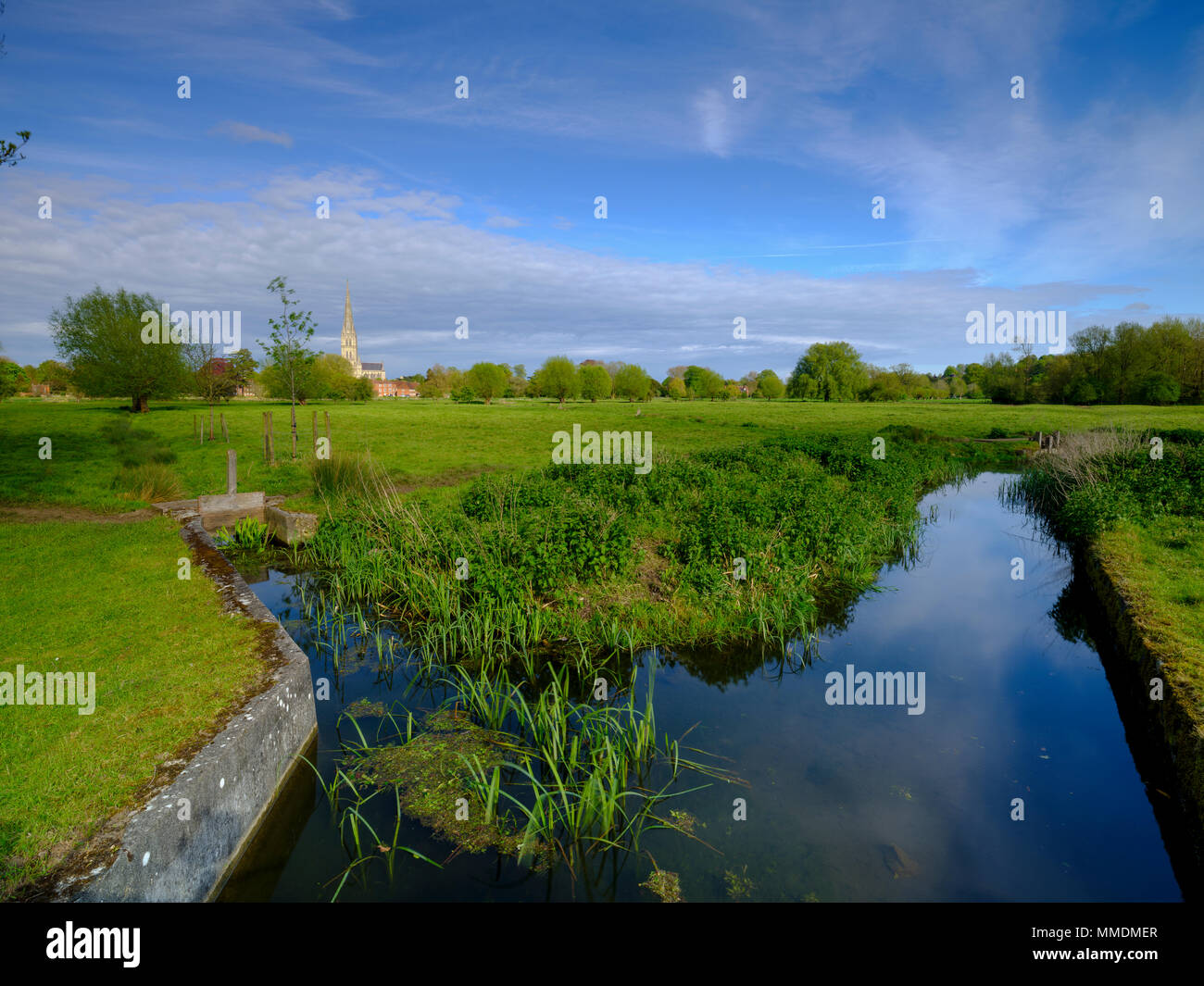 Spring afternoon light on Salisbury Cathedral from across Harnham Water Meadows, Wiltshire, UK Stock Photo