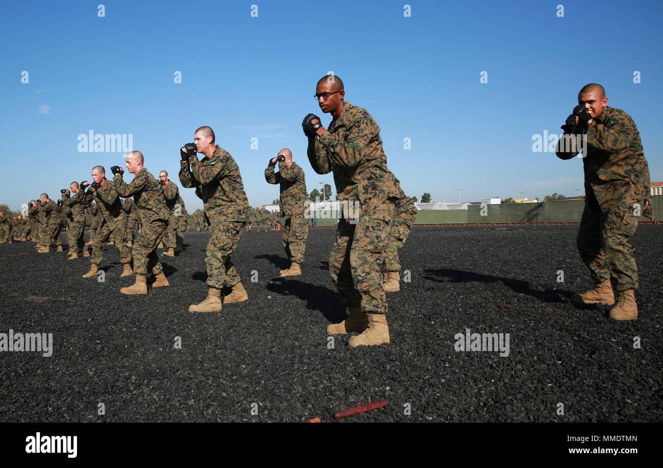 Recruits from Mike Company, 3rd Recruit Training Battalion, assume the basic warrior stance during a Marine Corps Martial Arts Program test at Marine Corps Recruit Depot San Diego, Oct. 18. The MCMAP classes teach recruits basic hand-to-hand combat techniques and instill a warrior ethos as they transform into Marines. Annually, more than 17,000 males recruited from the Western Recruiting Region are trained at MCRD San Diego. Mike Company is scheduled to graduate Nov. 9. Stock Photo