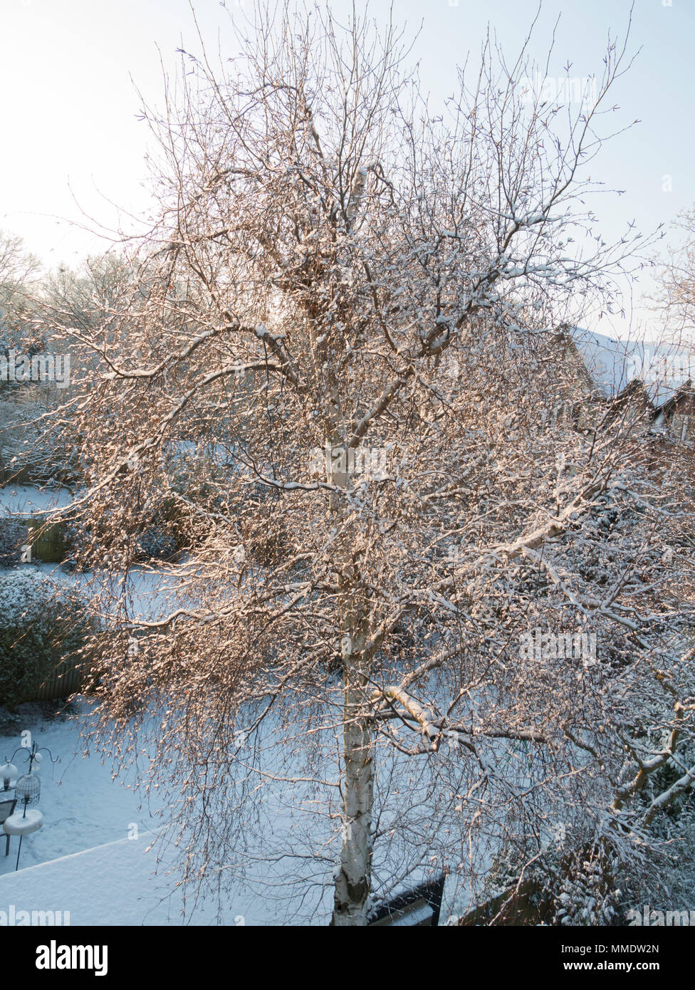 europe, UK, England, Surrey, winter suburb Stock Photo