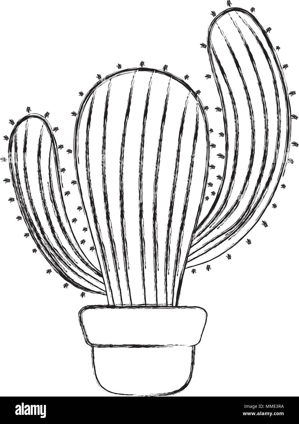 grunge nature desert cactus plant inside flowerpot Stock Vector Image ...