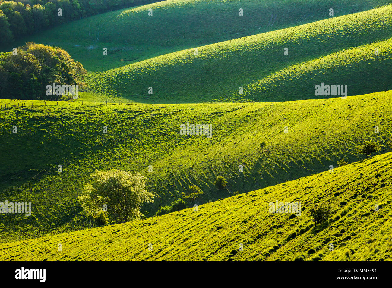 Spring morning at Firle Beacon in East Sussex. South Downs National Park. Stock Photo