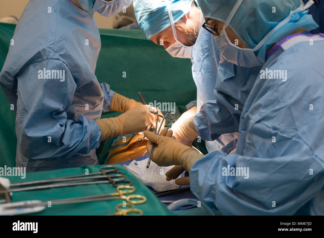 Organ transplant equipment hires stock photography and images Alamy