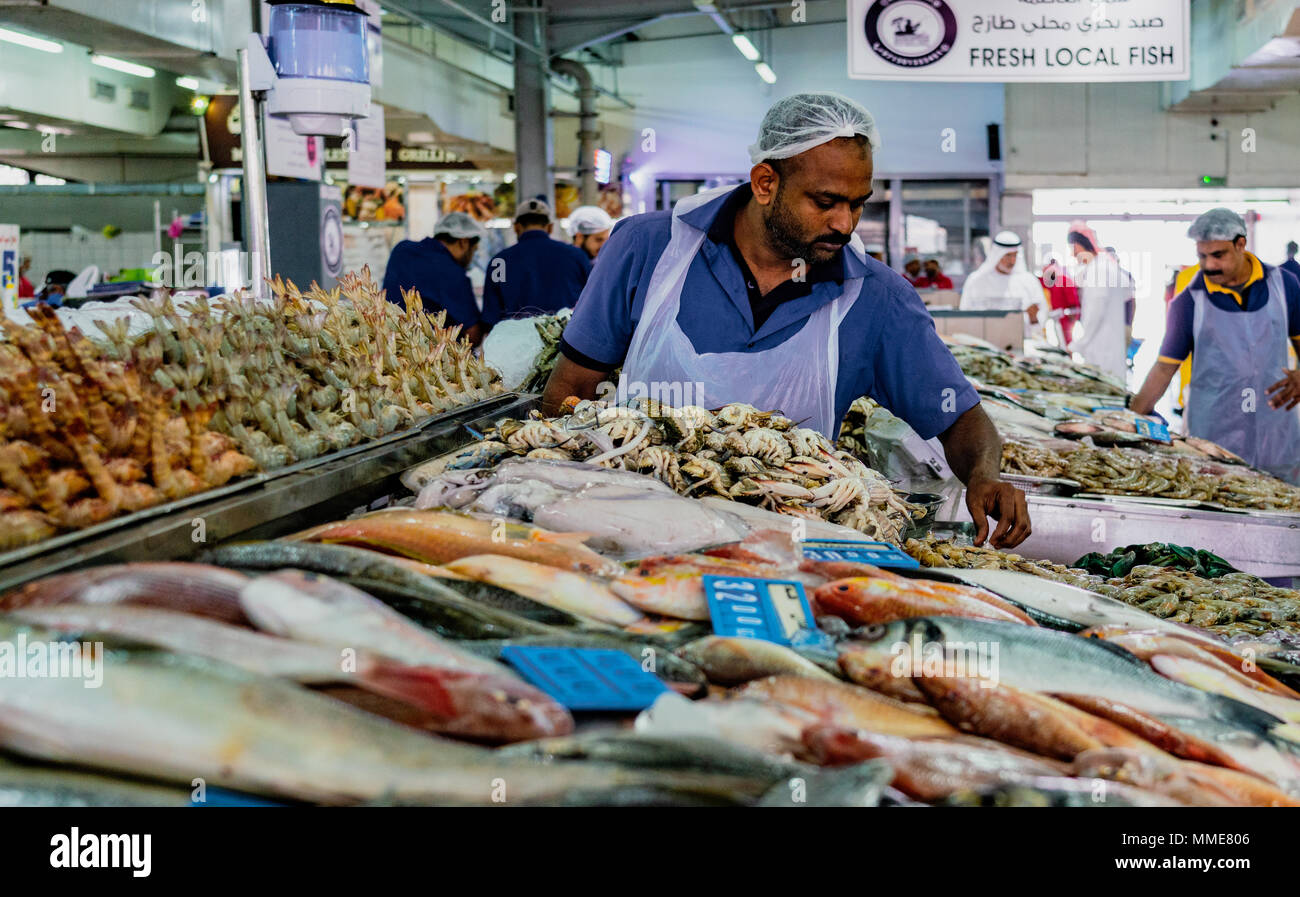 Forex trading in abu dhabi