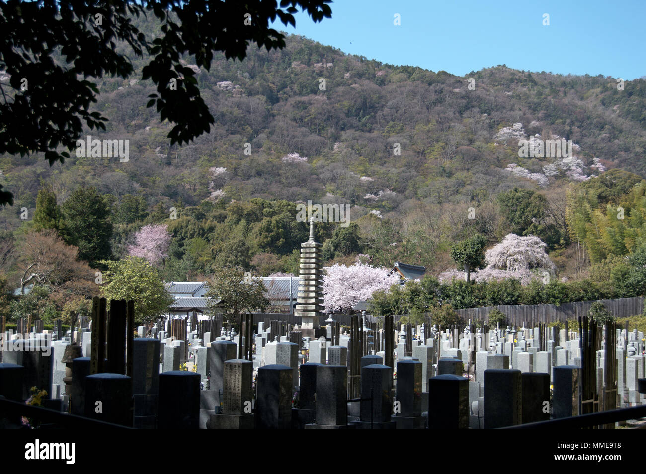 Tenryuji-temple cemetery, Kyoto, Japan Stock Photo