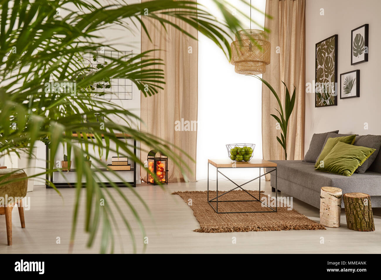 Living room with decorative palm, sofa and table Stock Photo