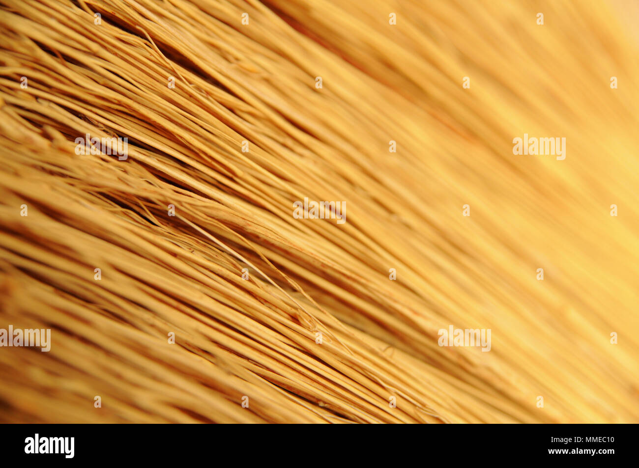 Broom straws close up Stock Photo