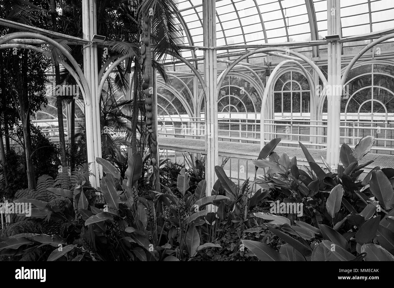 glass hall greenhouse Botanical garden Curitiba indoors white metallic structure architecture black white Stock Photo