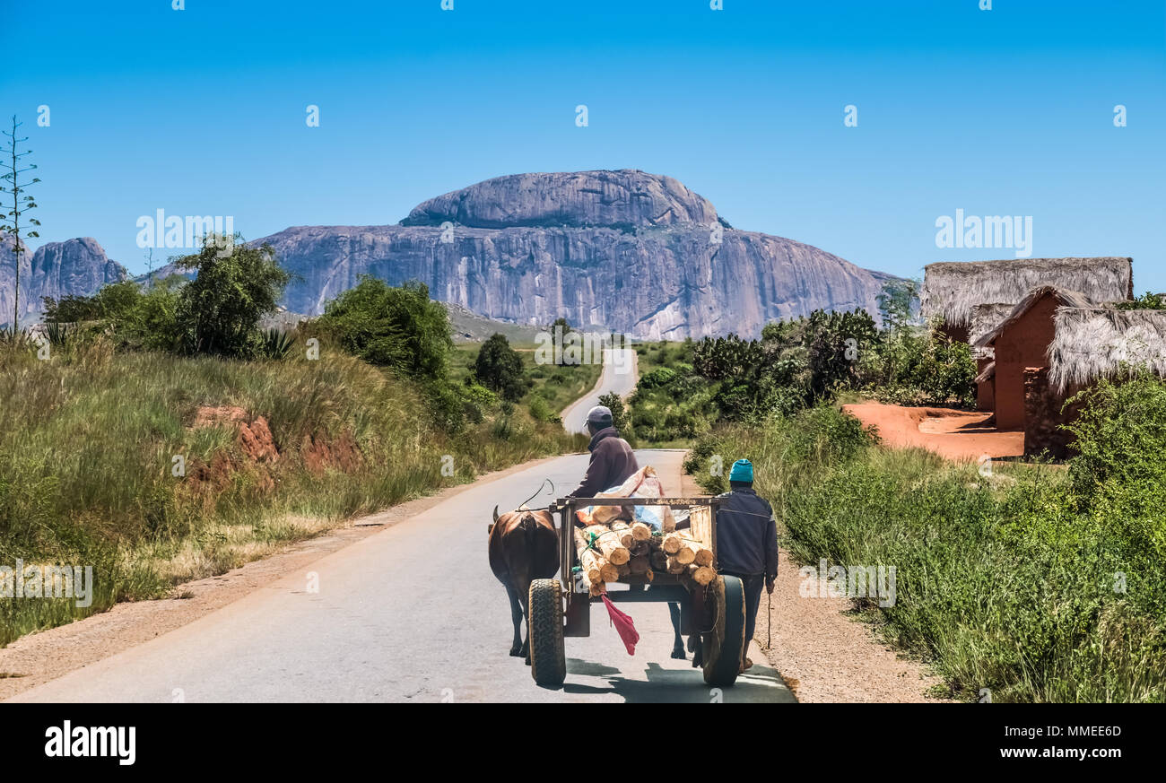 Betsileo people on zebu-powered carts on National Route 7 between Ambalavao and Isalo, Madagascar Stock Photo