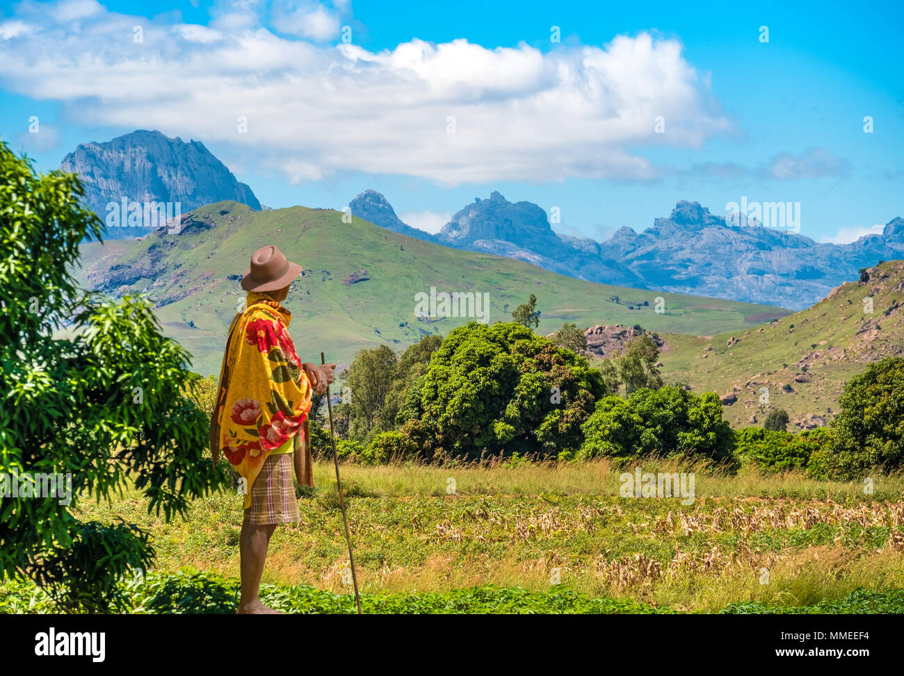 Betsileo people on foot, bicycle or zebu-powered carts on National Route 7 between Ambalavao and Isalo, Madagascar Stock Photo