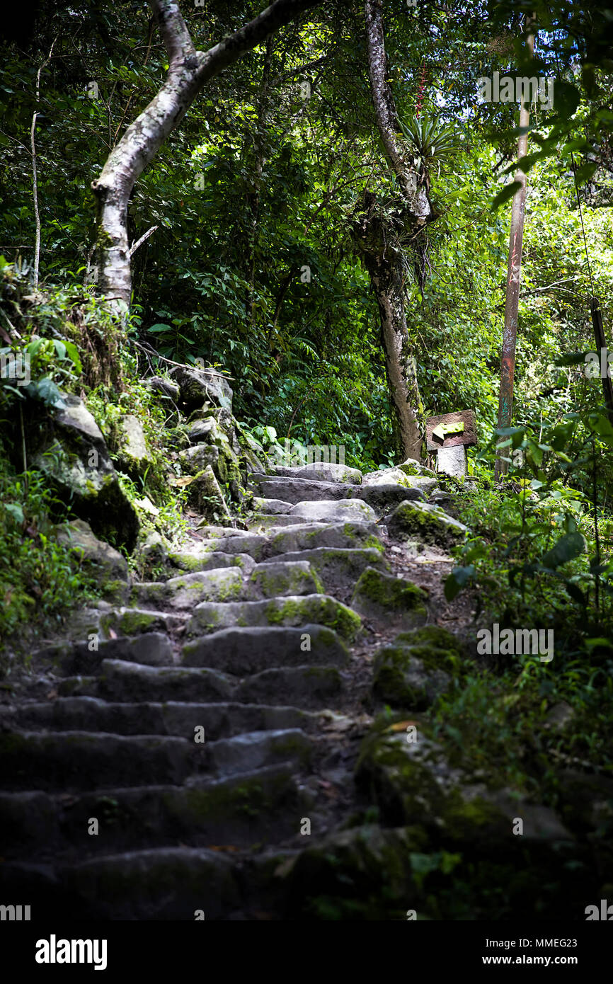 Detail of the Machu Picchu Inca citadel in Peru Stock Photo - Alamy