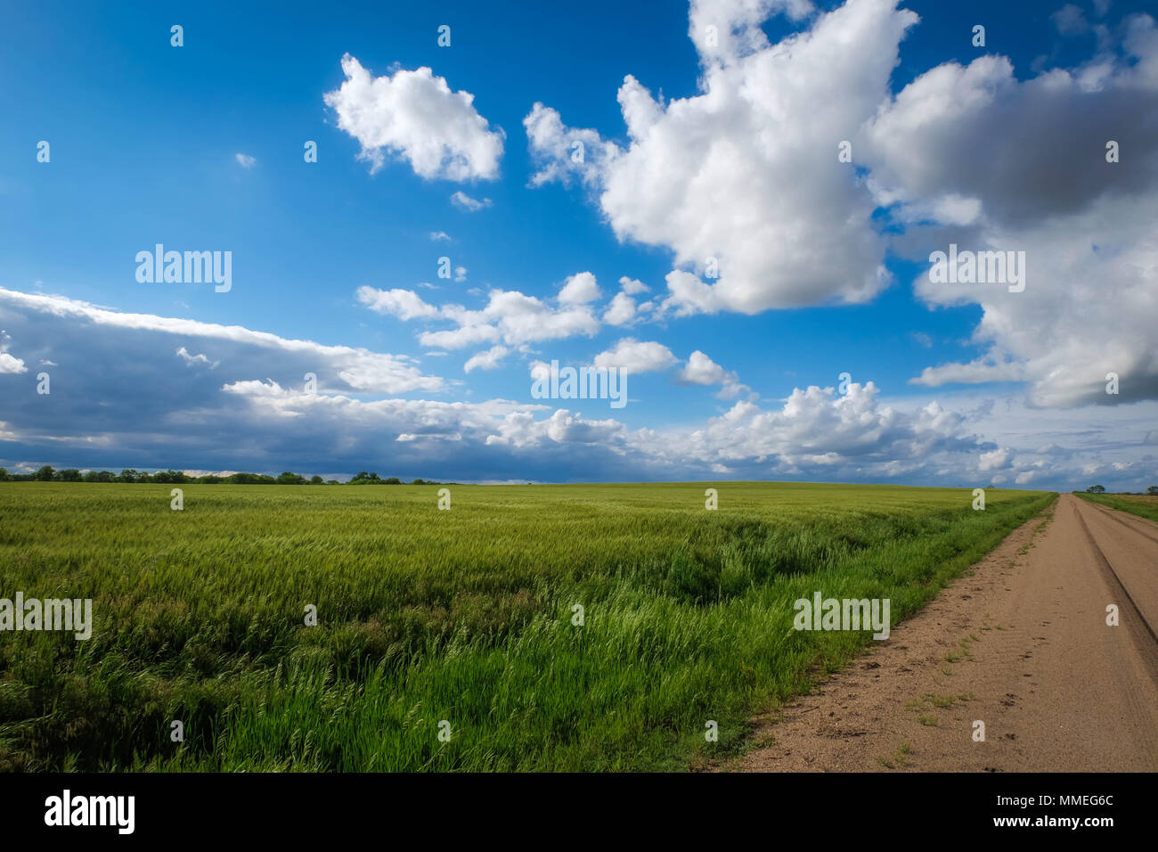 Beautiful country landscape. Stock Photo