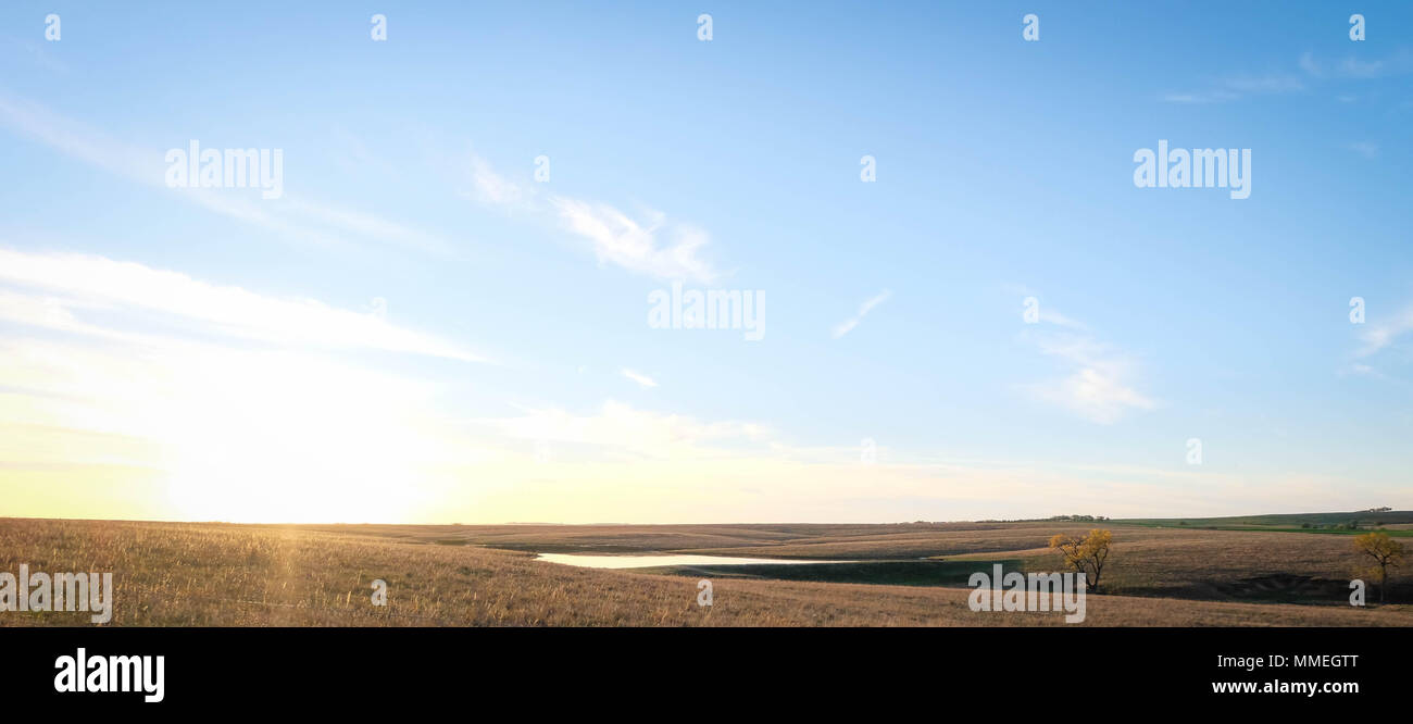 Landscape shot with pond and sunset Stock Photo
