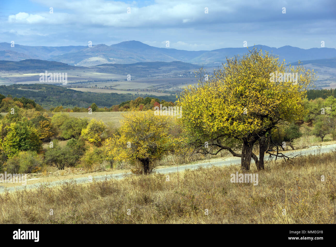 Cherna gora mountain hi-res stock photography and images - Alamy