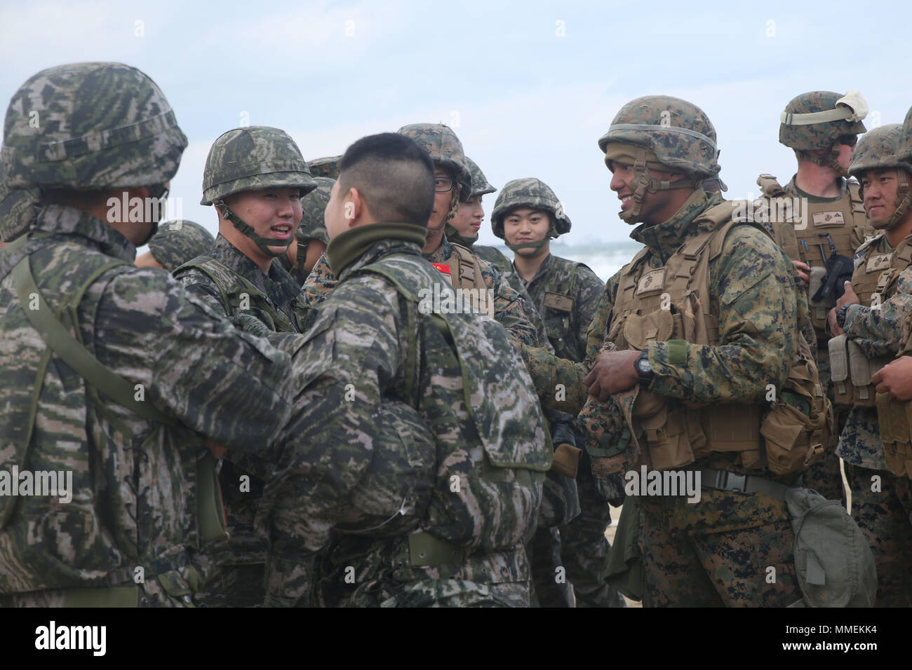3rd transportation support battalion and 9th engineer support battalion ...