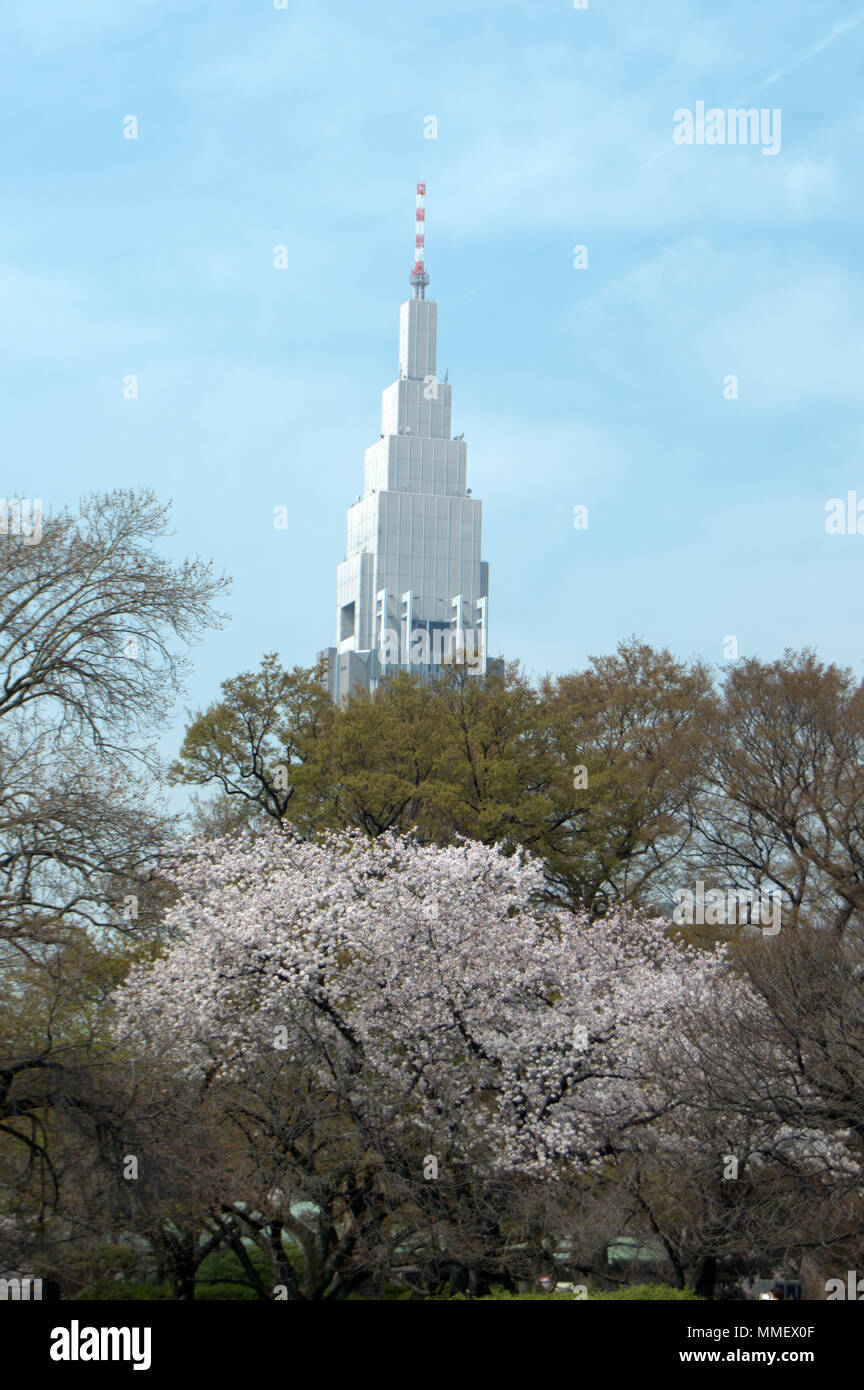 The NTT Docomo tower from Shinjuku Gyoen National Garden, Tokyo Stock Photo