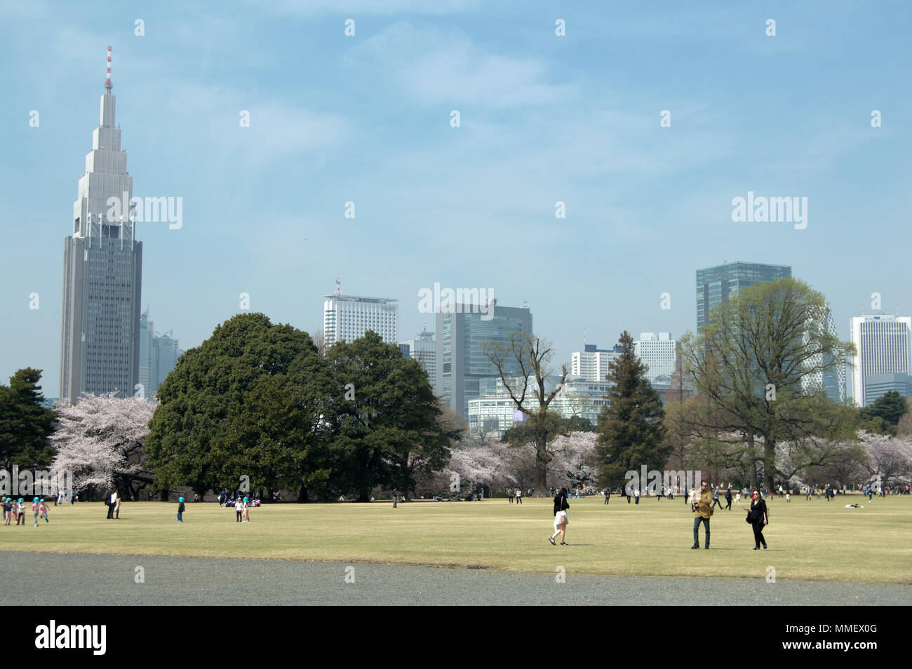 The NTT Docomo tower from Shinjuku Gyoen National Garden, Tokyo Stock Photo