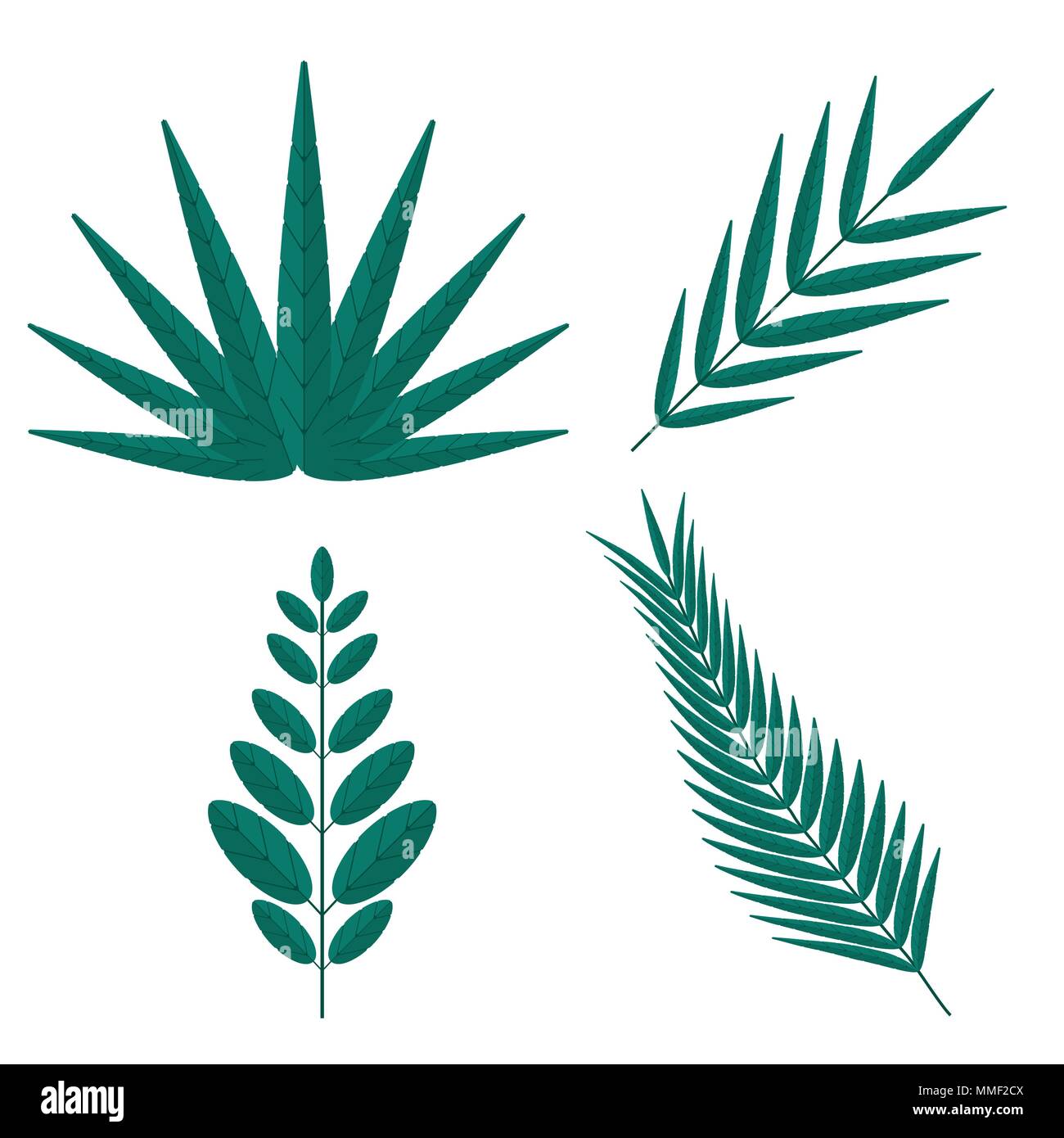 Tropical palm tree branches Stock Vector