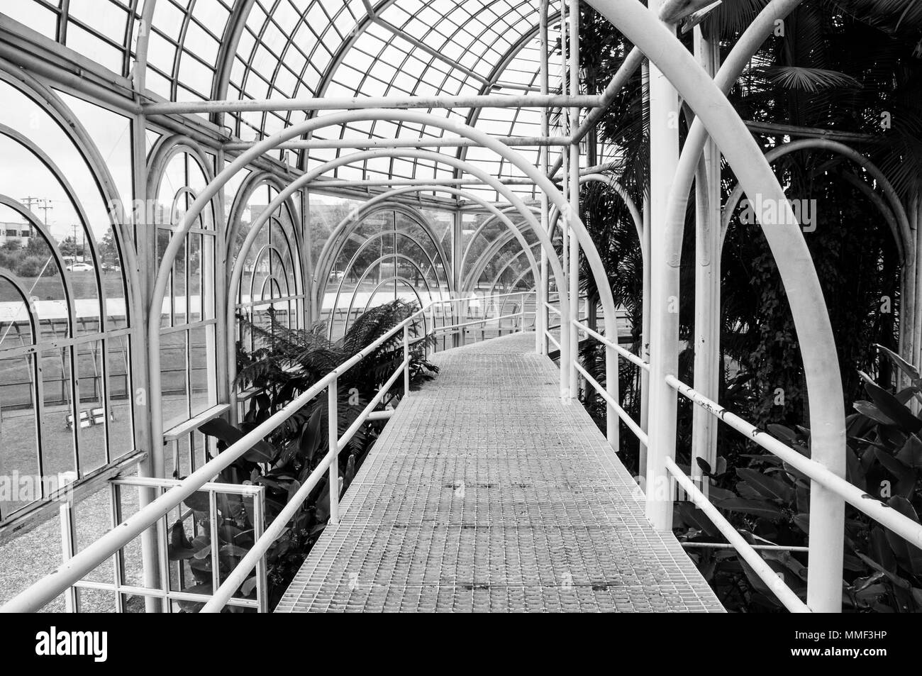 metallic  architecture  Botanical garden Curitiba indoors structurehall greenhouse black white Stock Photo