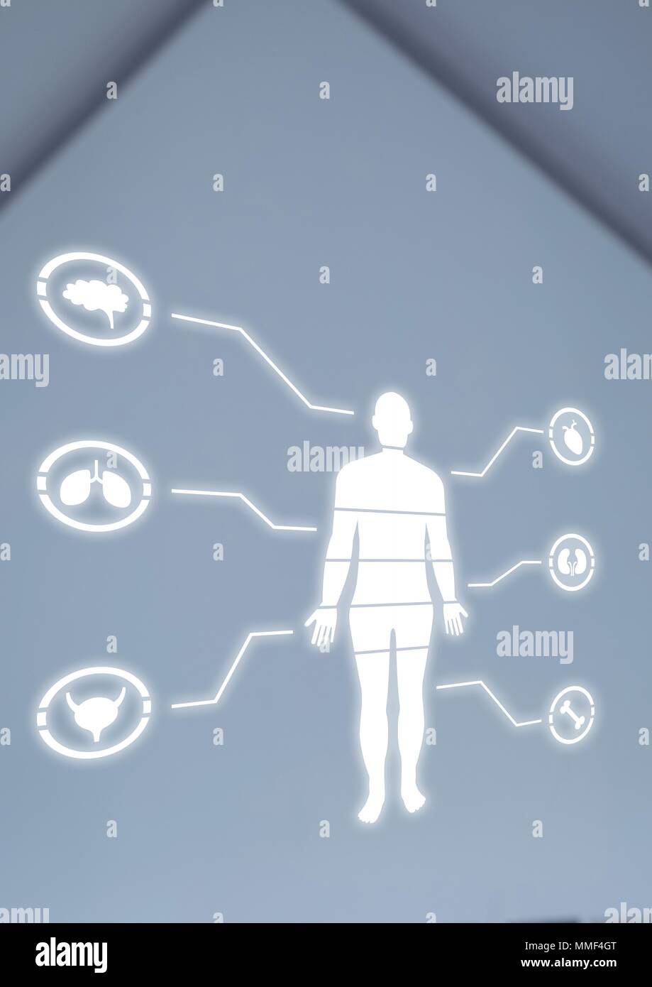 Human Body Chart education Stock Photo Biology Diagrams