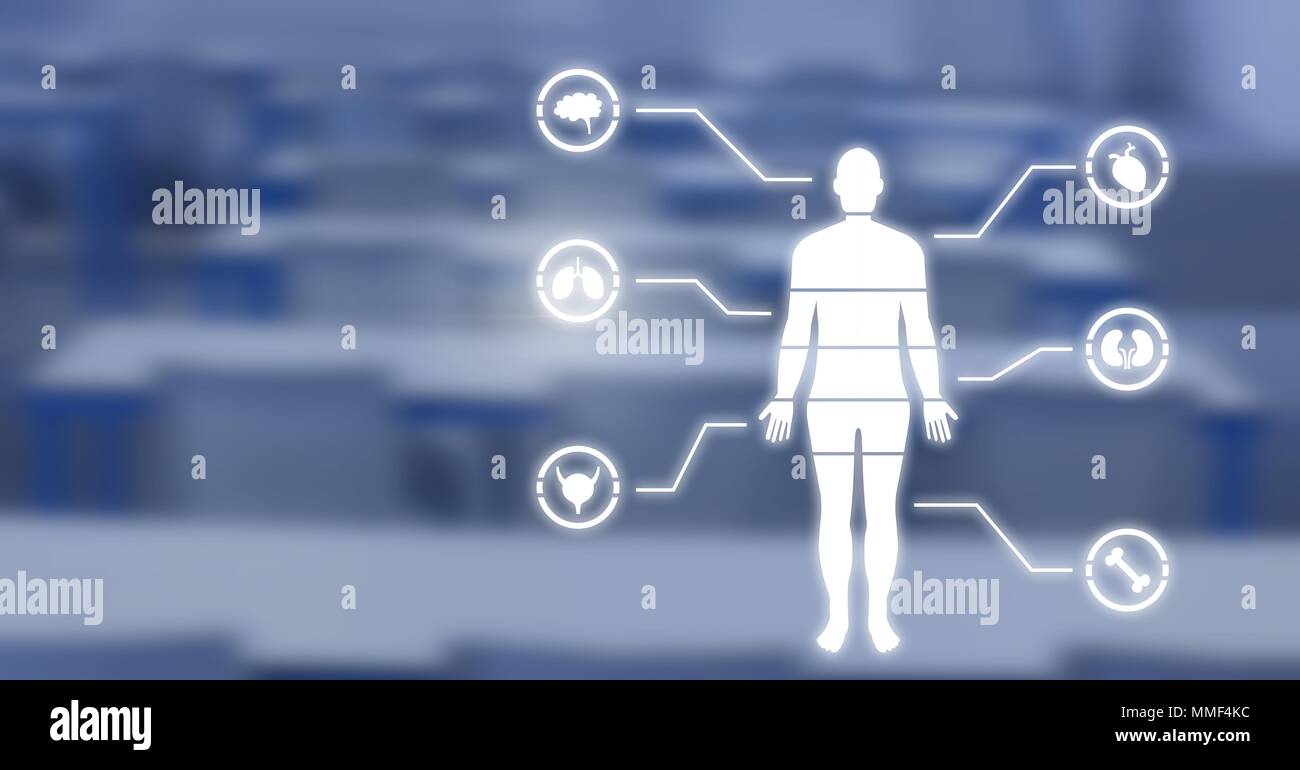 Human Body Chart and classroom Stock Photo Biology Diagrams