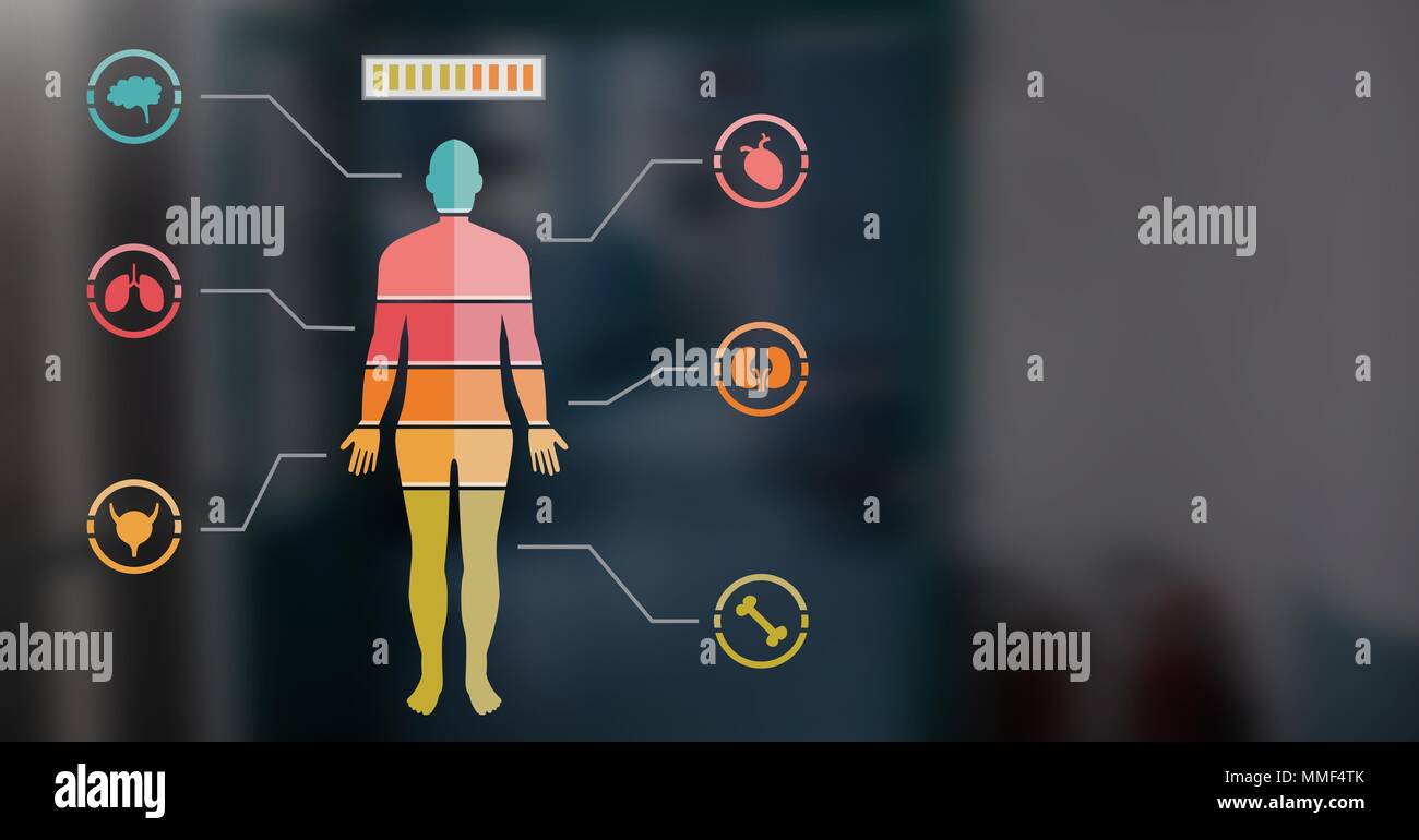 Colorful Human Body Chart Stock Photo Biology Diagrams