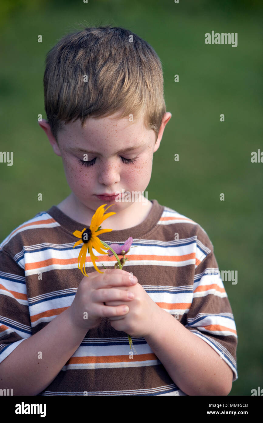 And unhappy six-year-old boy holding some wildflowers in his hands ...