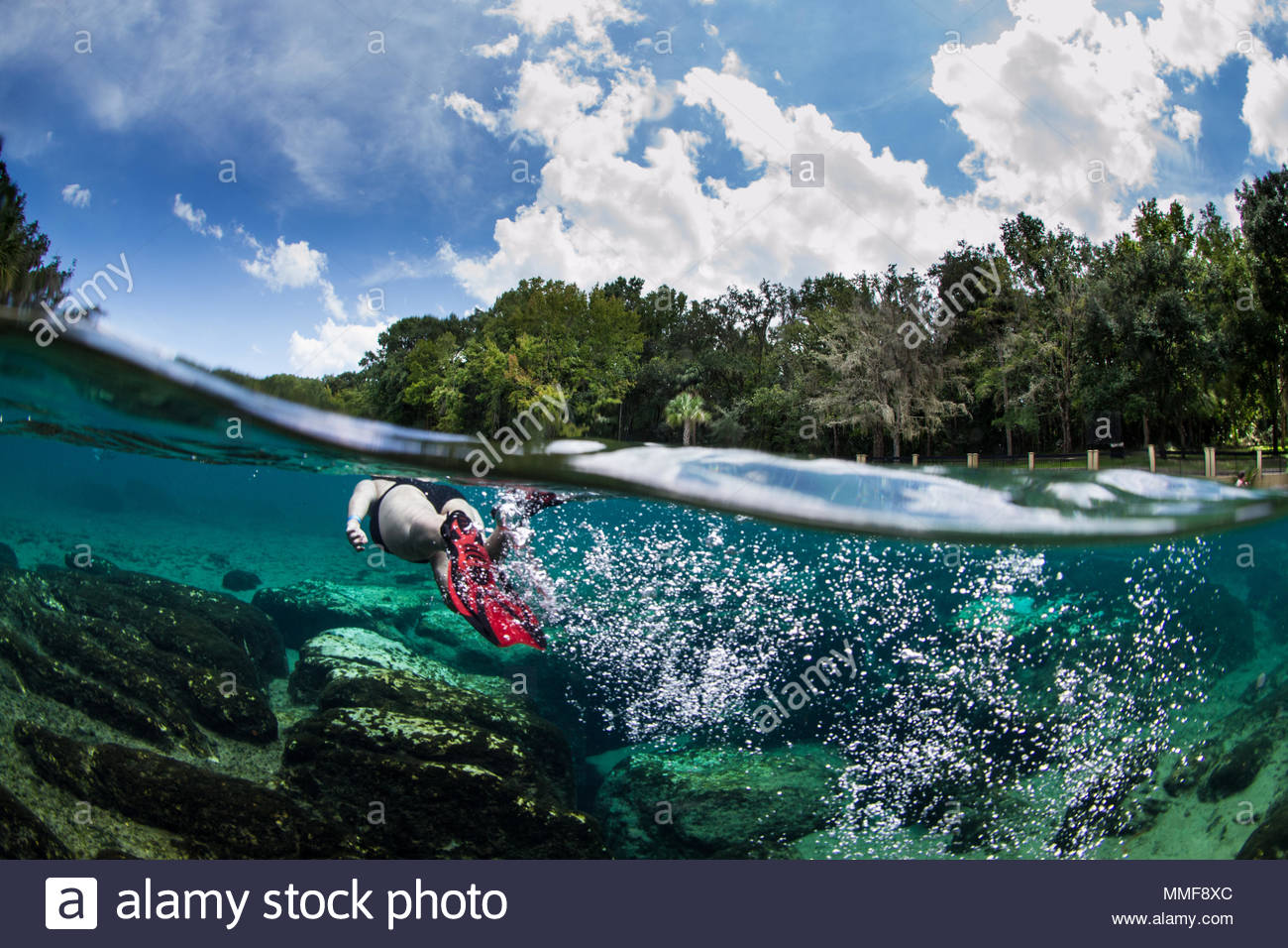 Snorkeler High Resolution Stock Photography and Images - Alamy