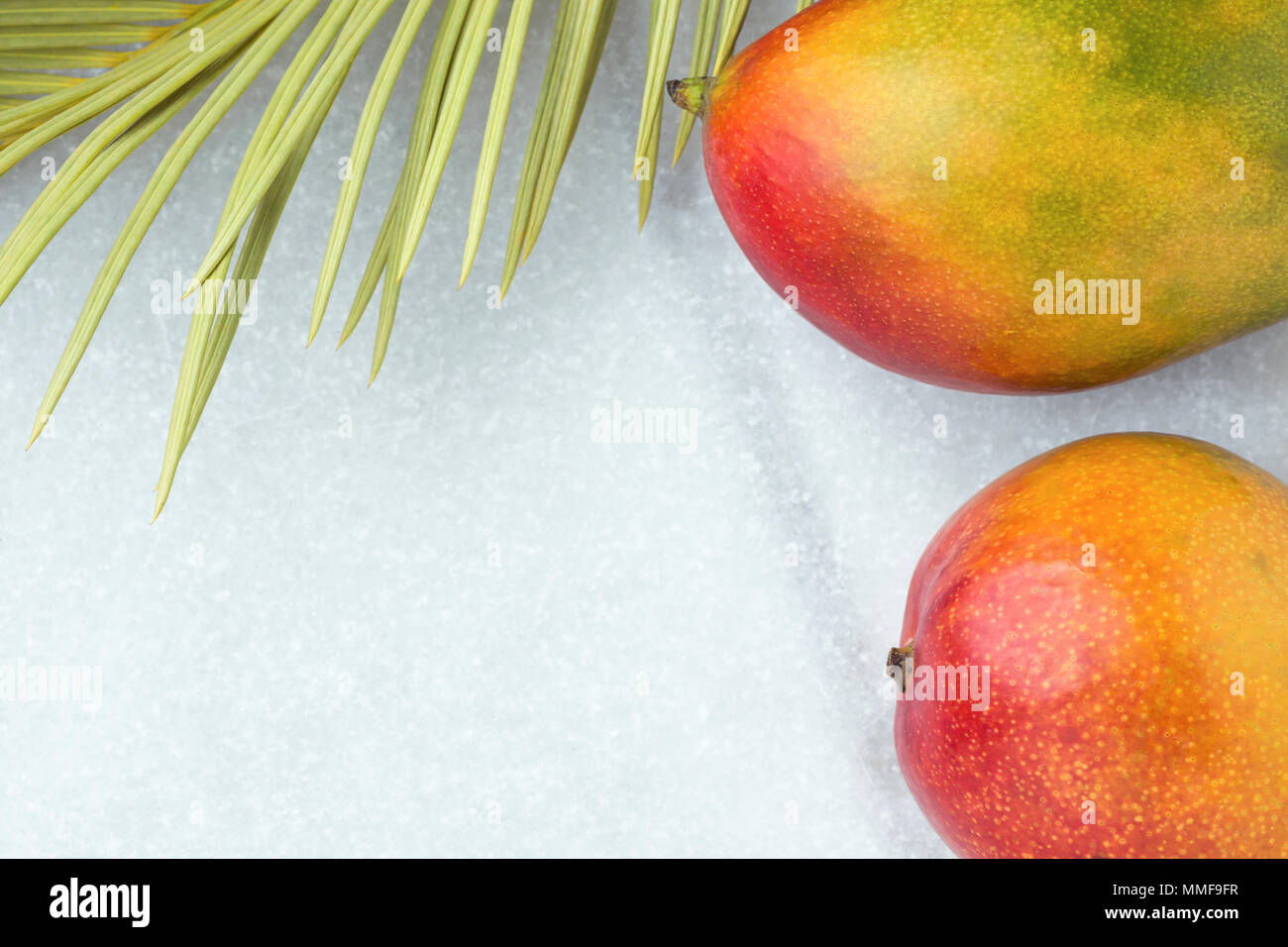 Tropical Nature Background Ripe Juicy Red Mango Spiky Green Yellowish Palm Leaf Scorched by the Sun. Healthy Food Lifestyle Vitamins Summer Travel Vac Stock Photo