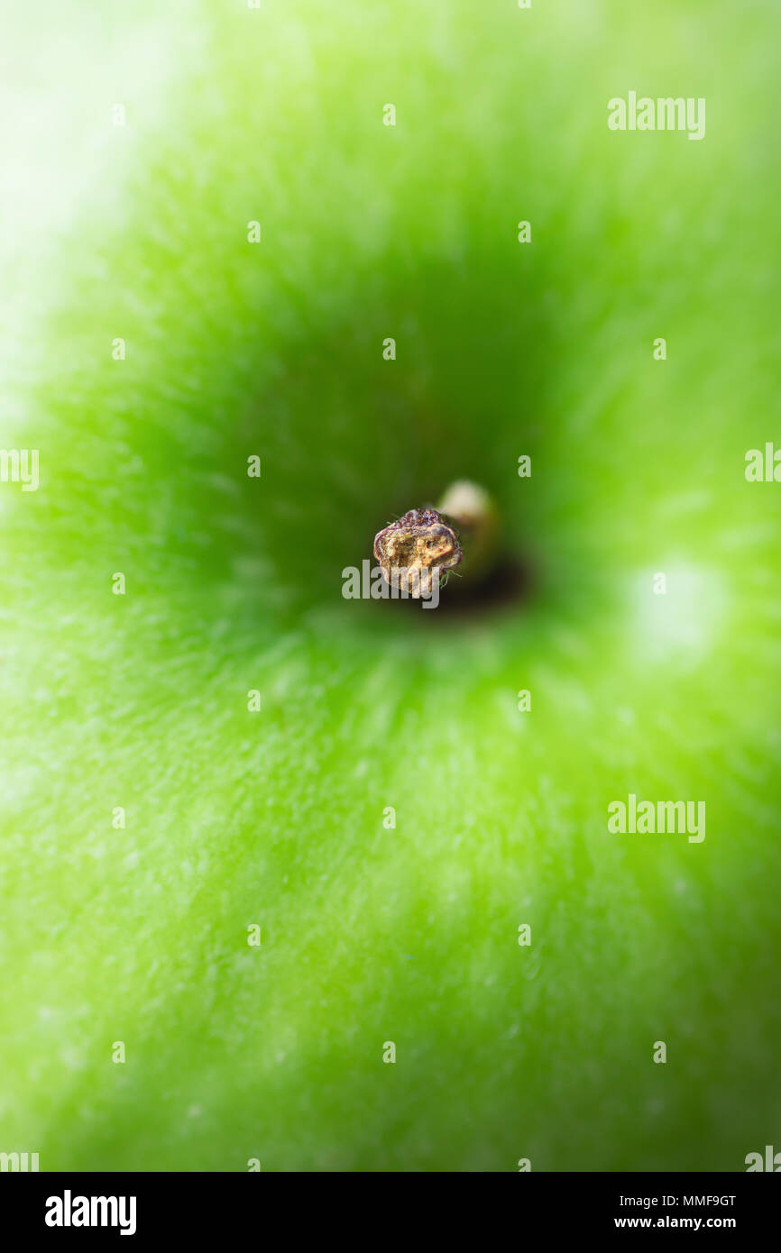 Macro Photograph of Ripe Organic Green Apple with Texture Imperfections. Selective Focus on Stem Tip. Food Background for Poster Blogs Websites. Summe Stock Photo
