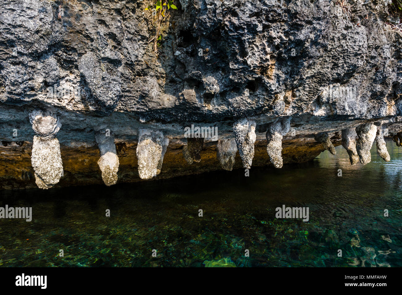 Calcium and mineral deposits hanging from a limestone cliff. Stock Photo