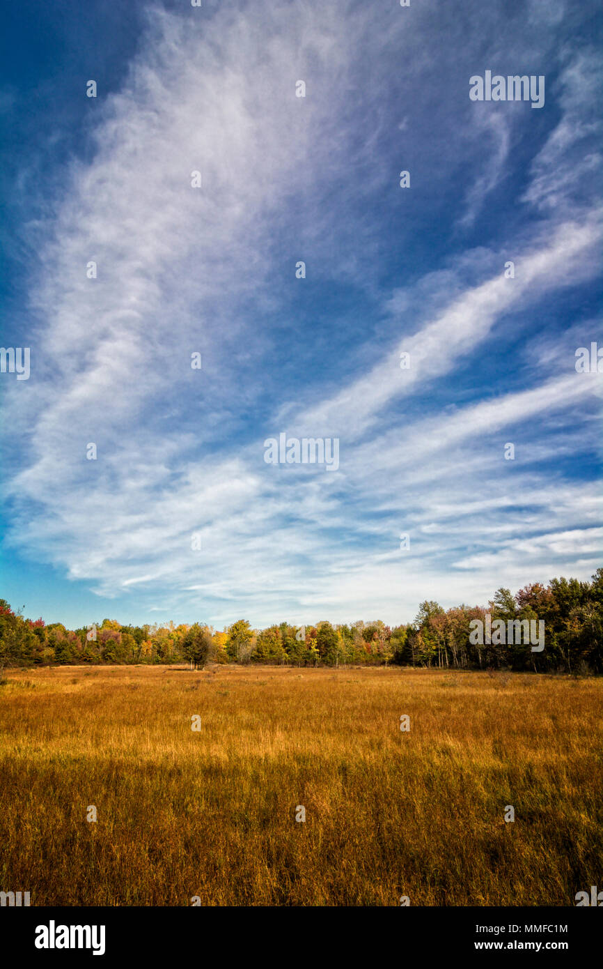 A  beautiful autumn scene with colorful autumn colors in the distant trees to look at. Find this scene at Irwin Prairie State Nature Preserve. Stock Photo