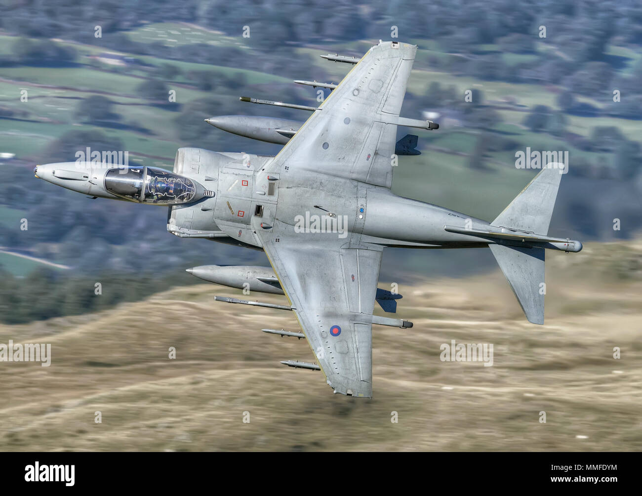 RAF Harrier low level Stock Photo