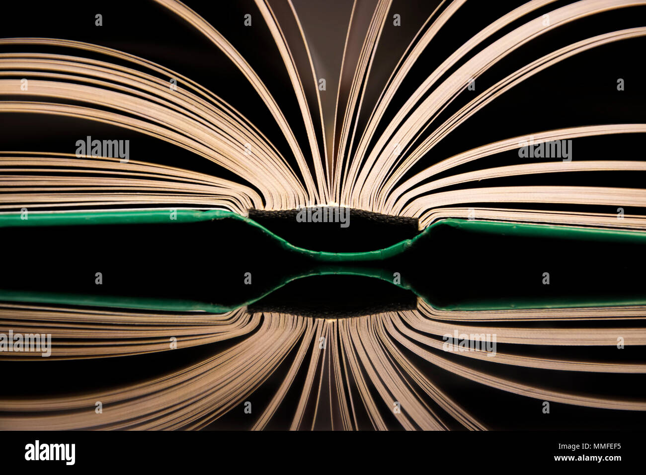 the book, the open book largely with a specular reflection. art. education Stock Photo
