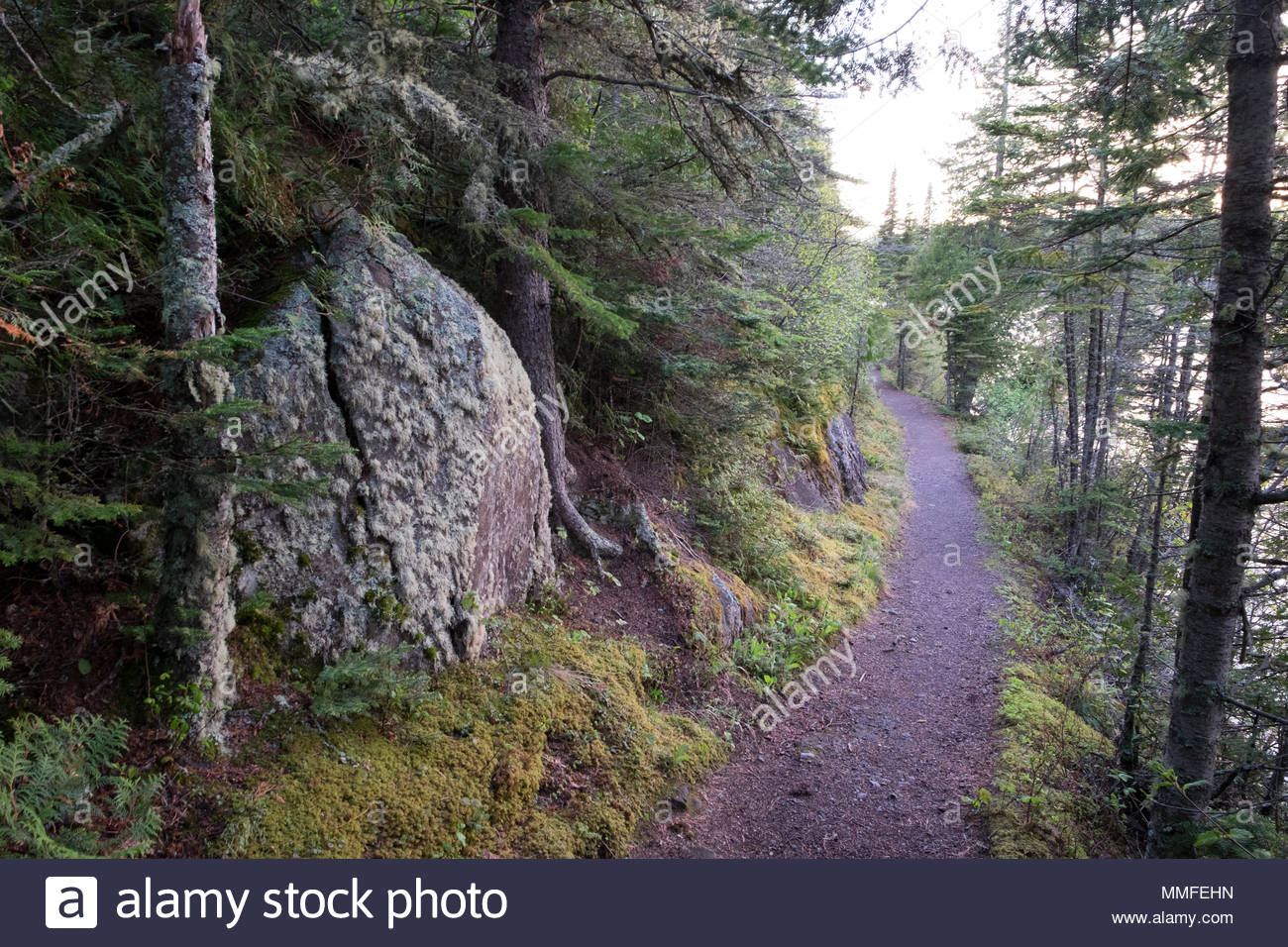 Rock Harbor Lodge Trail In Isle Royale National Park Stock Photo