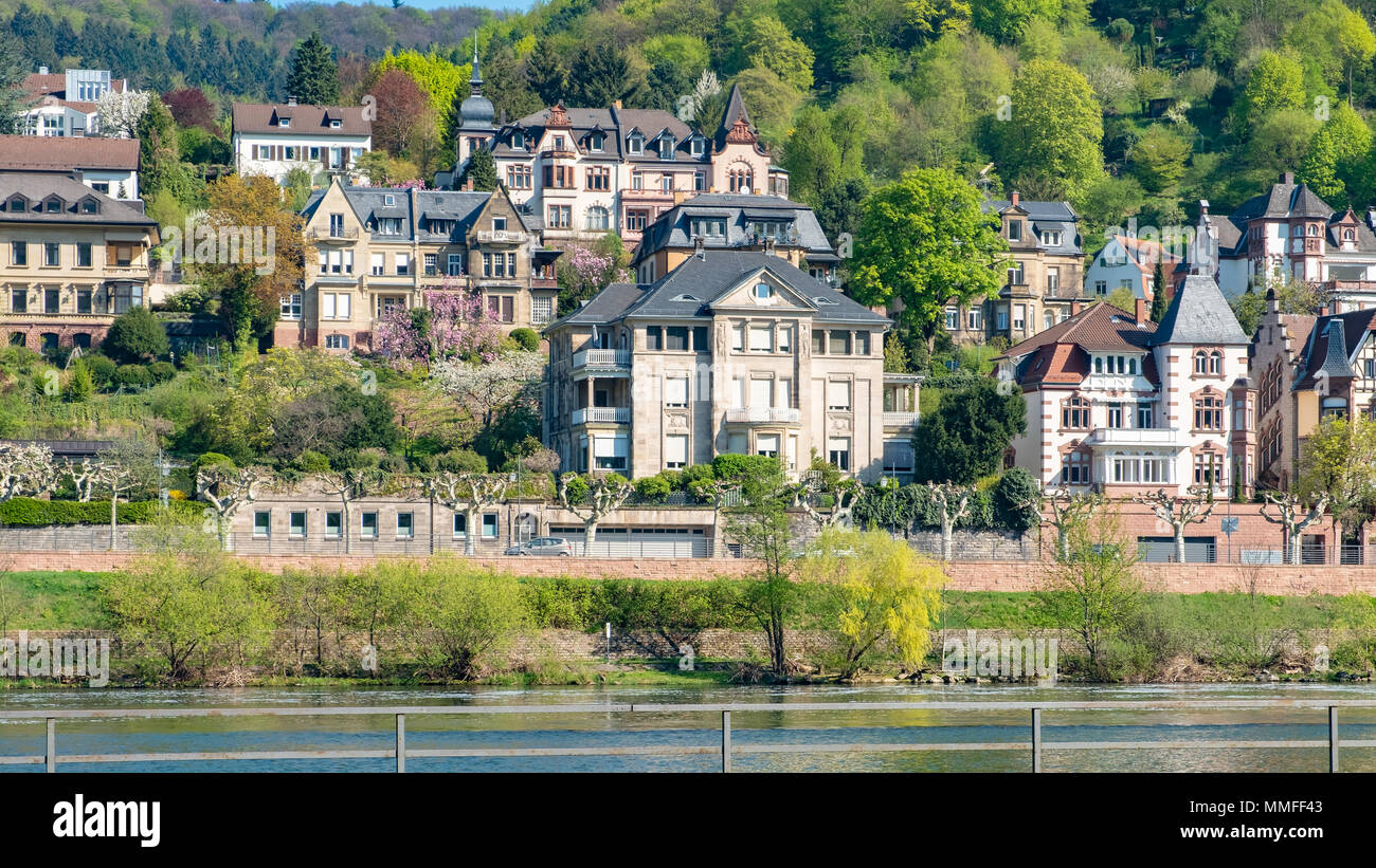 Stately homes line the banks of the River Neckar in Heidelberg Germany. Stock Photo