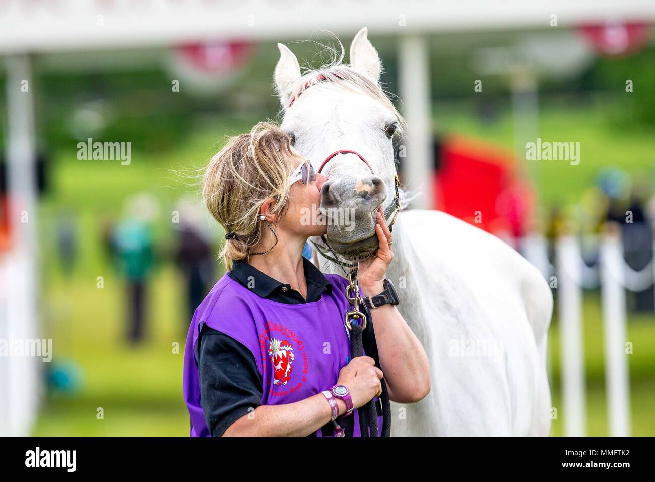 Endurance riding vet hires stock photography and images Alamy