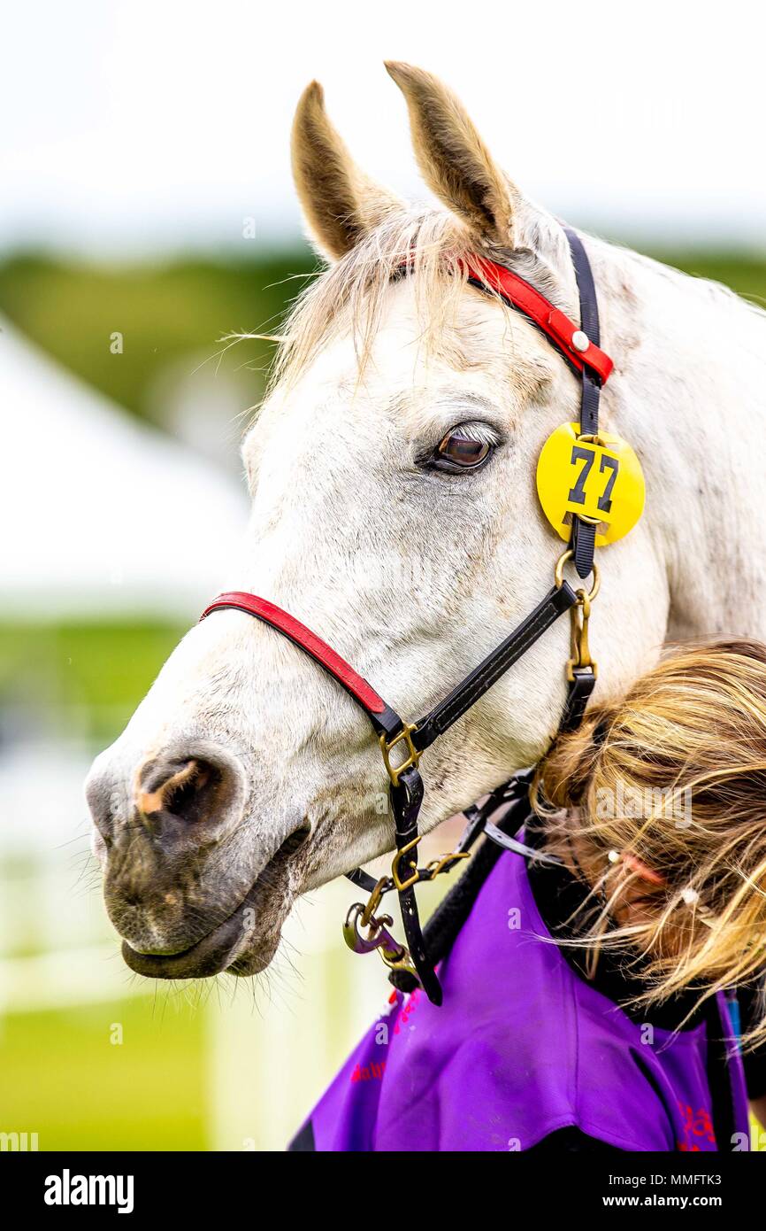 Windsor, UK. 11th May 2018. Day 3. Royal Windsor Horse Show. Windsor