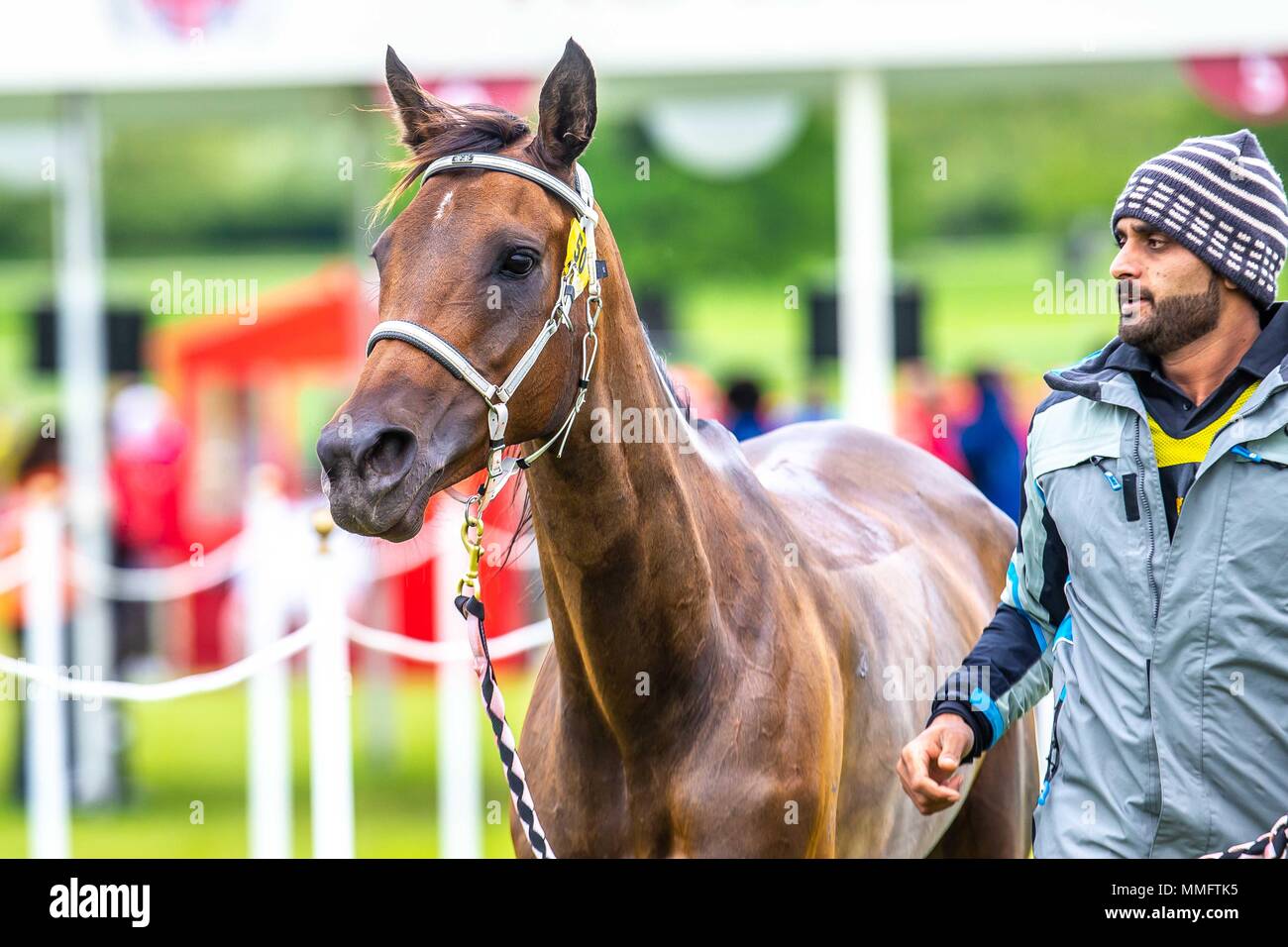 Windsor, UK. 11th May 2018. Day 3. Royal Windsor Horse Show. Windsor
