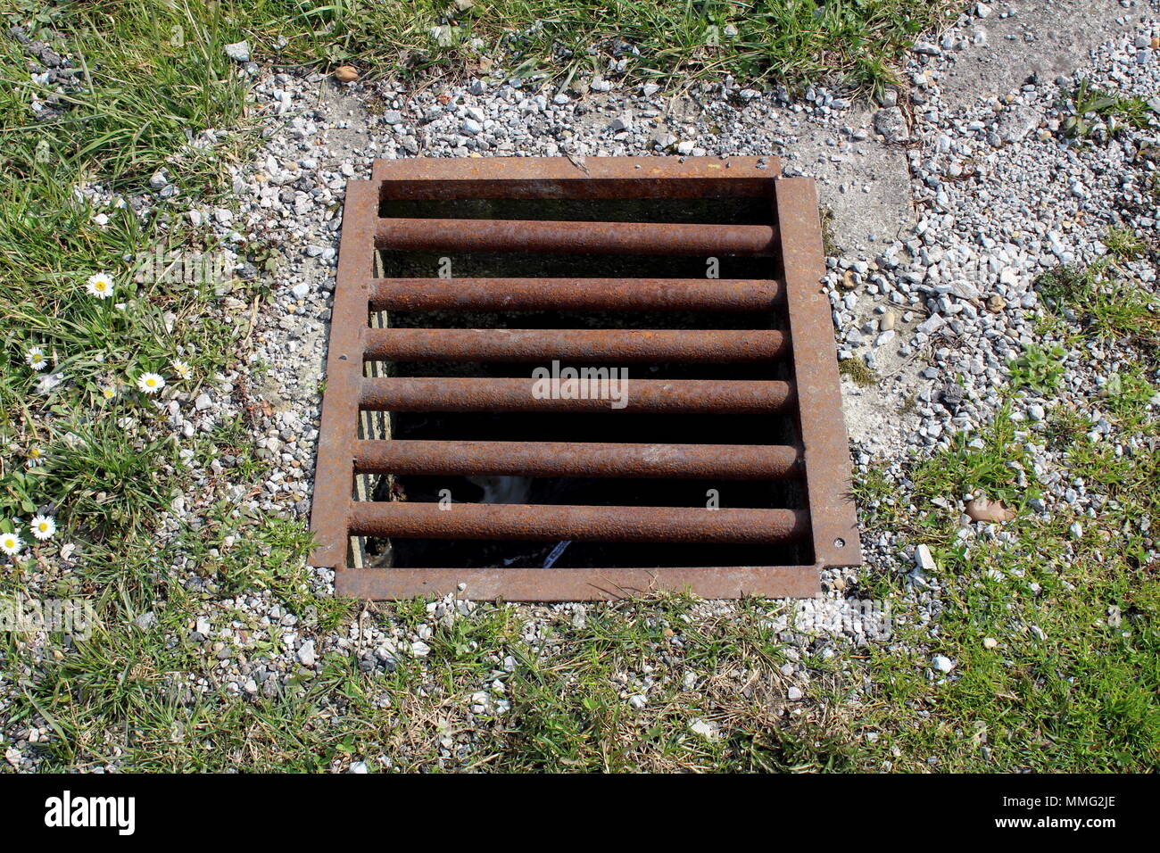 Storm drain with strong rusted metal bars connected to local sewage surrounded with uncut grass, small flowers and gravel Stock Photo