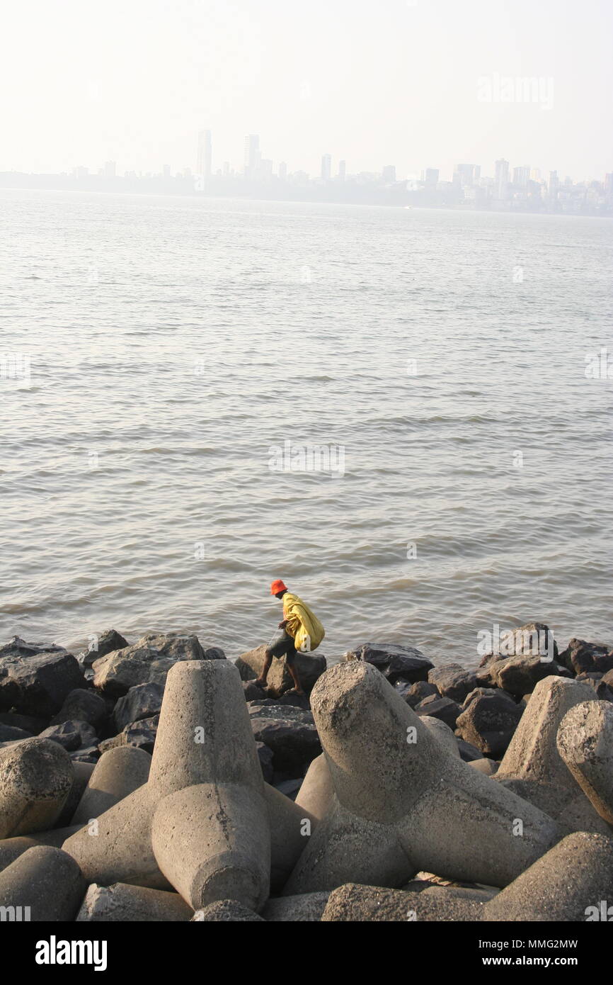 Indian Man Collecting Rubbish on Rocks, Mumbai, India Stock Photo - Alamy