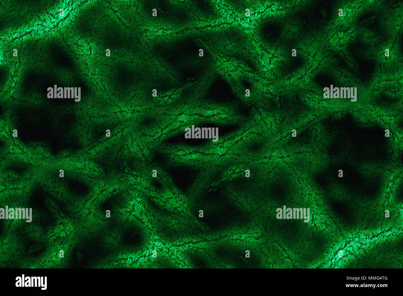 Fantasy green virus background Stock Photo